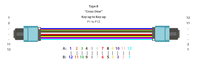 教你全面认识极性B MTP光纤跳线