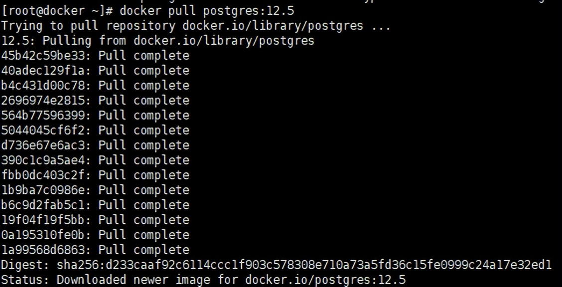 Linux环境中Docker容器安装与使用（四）——Postgresql数据库